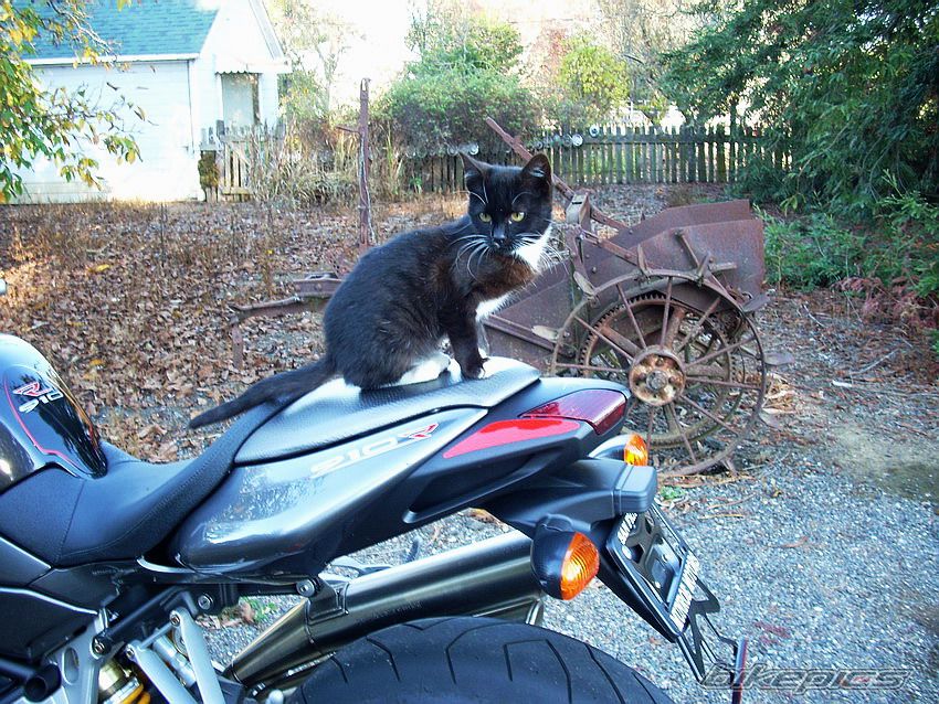Photo 1104521