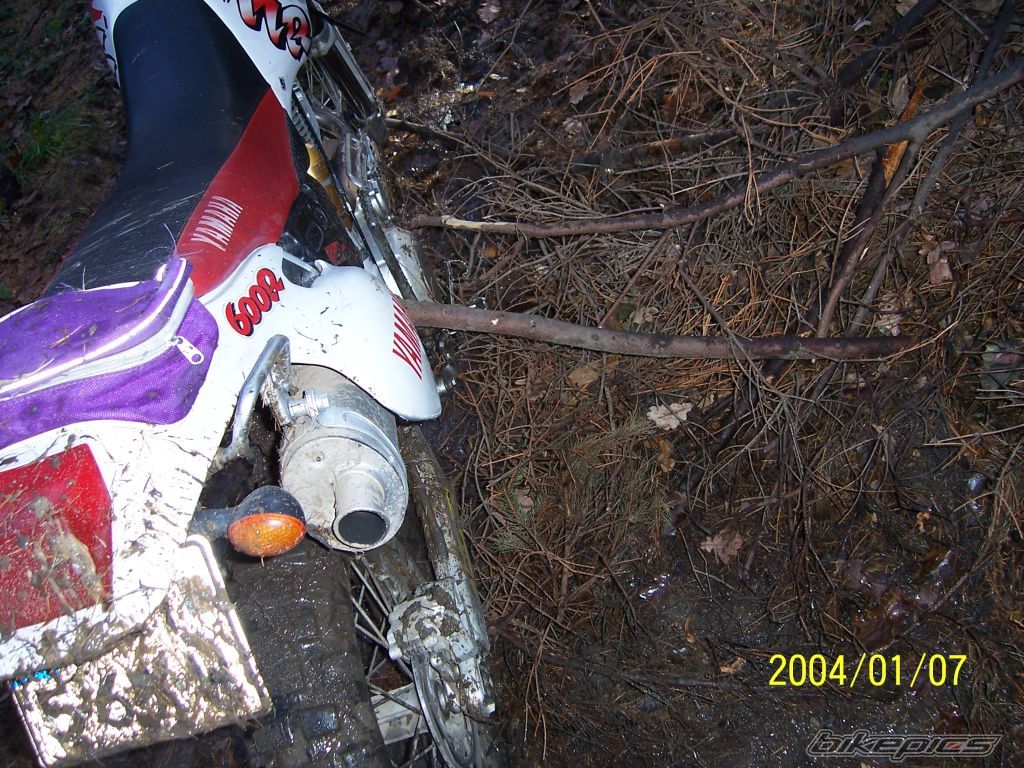 Bike Photo 1106735