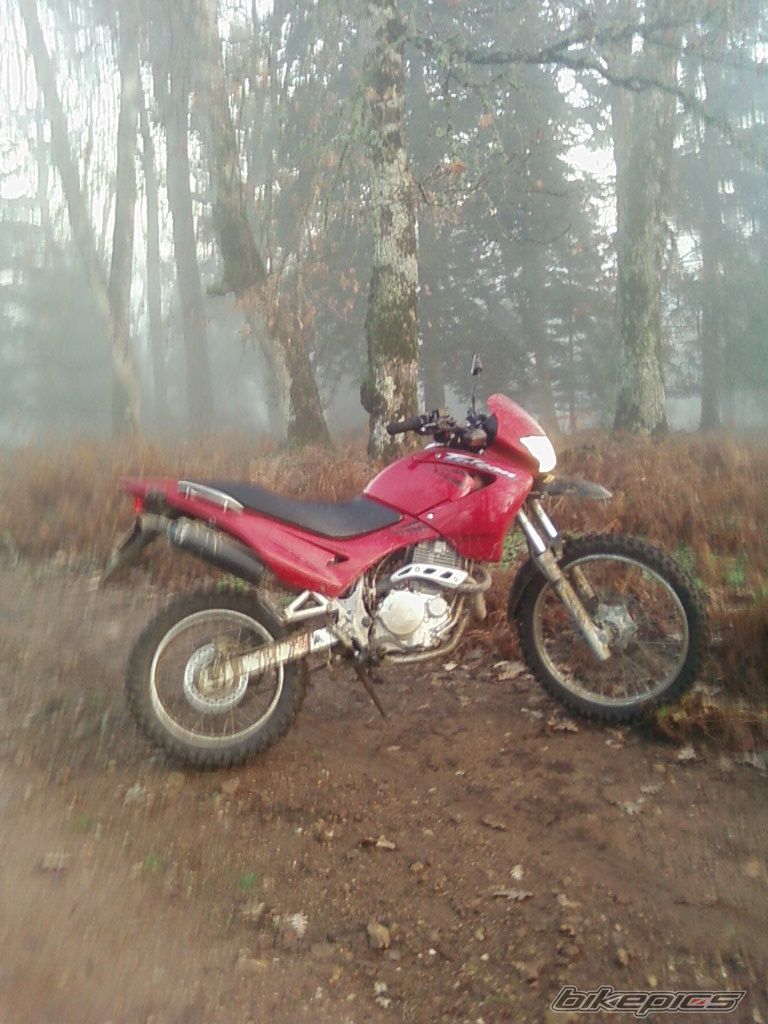 Bike Photo 1108906