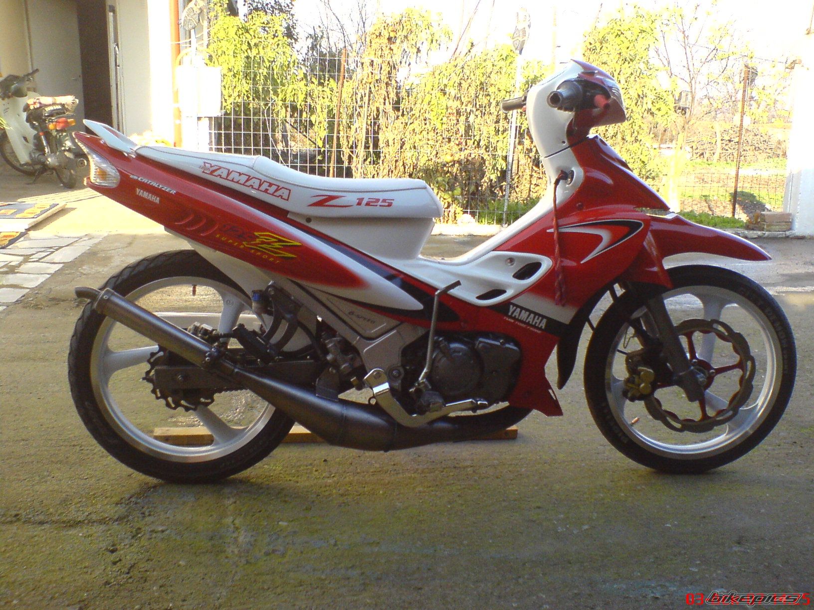 Photo 1109794