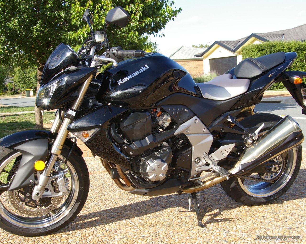 Photo 1113205