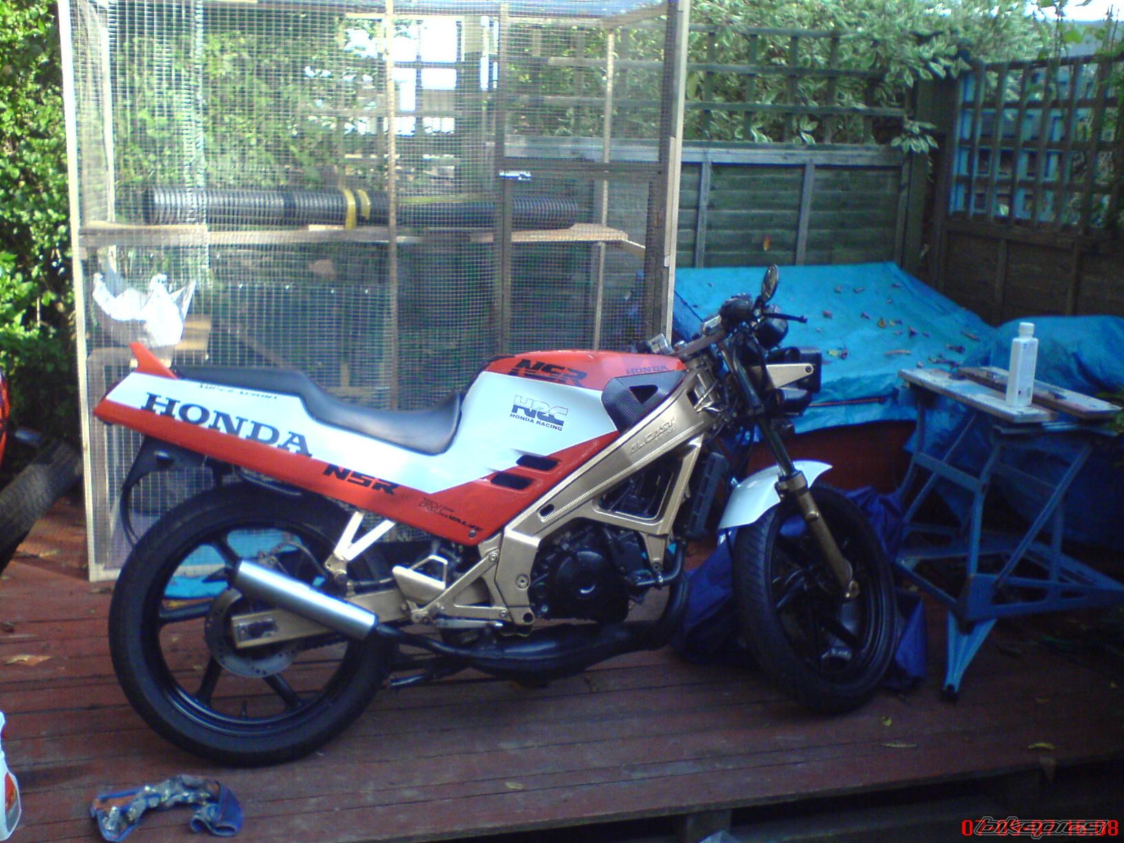 Photo 1113252