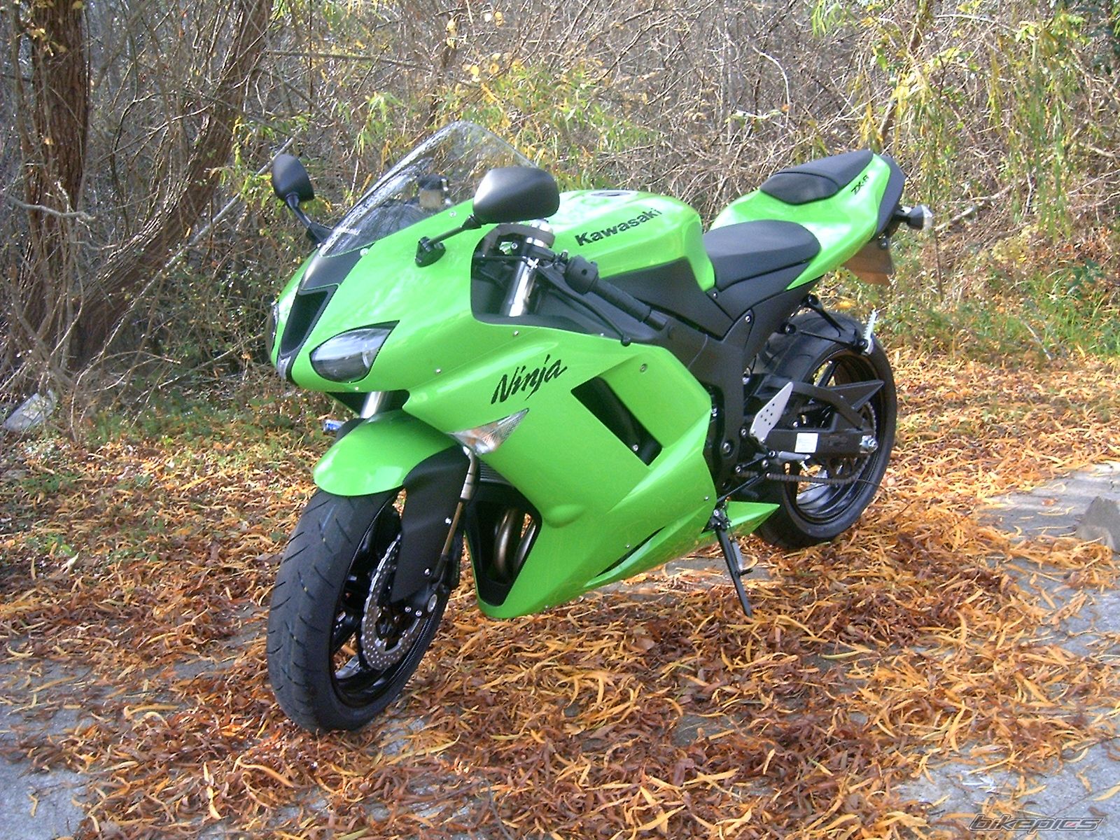 Photo 1113405