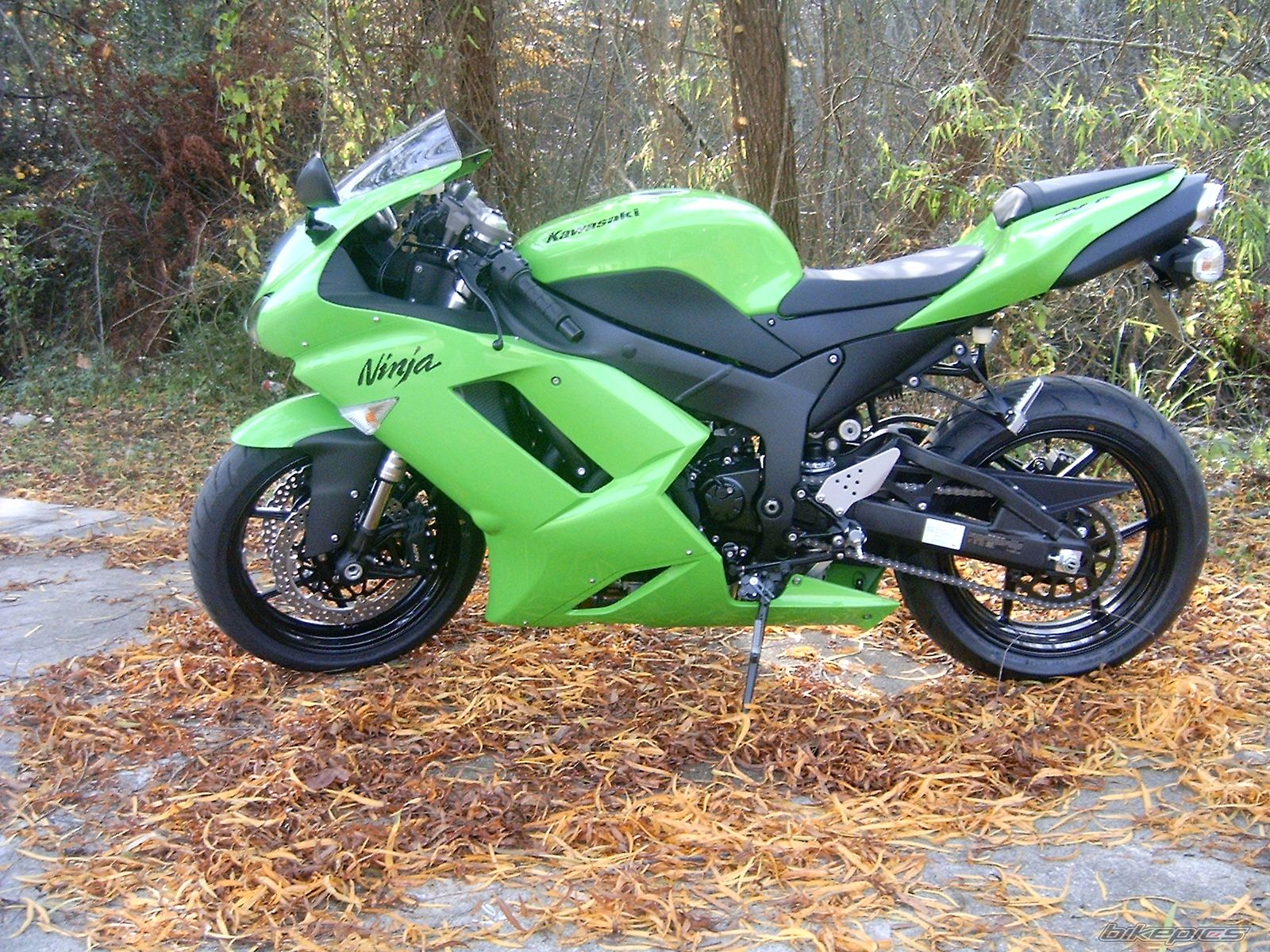 Photo 1113408