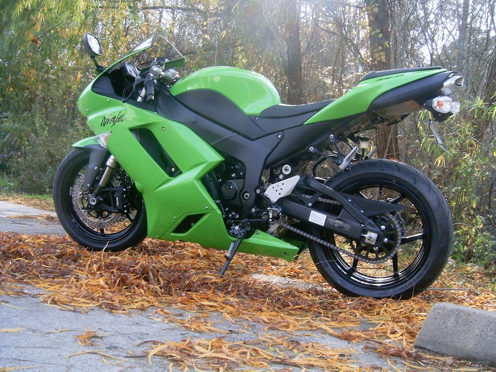 Photo 1113409
