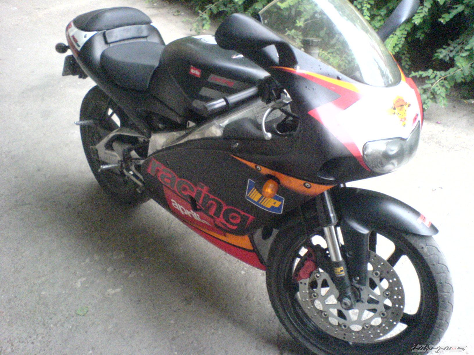 Photo 1113782