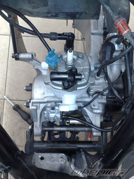 Photo 1123030