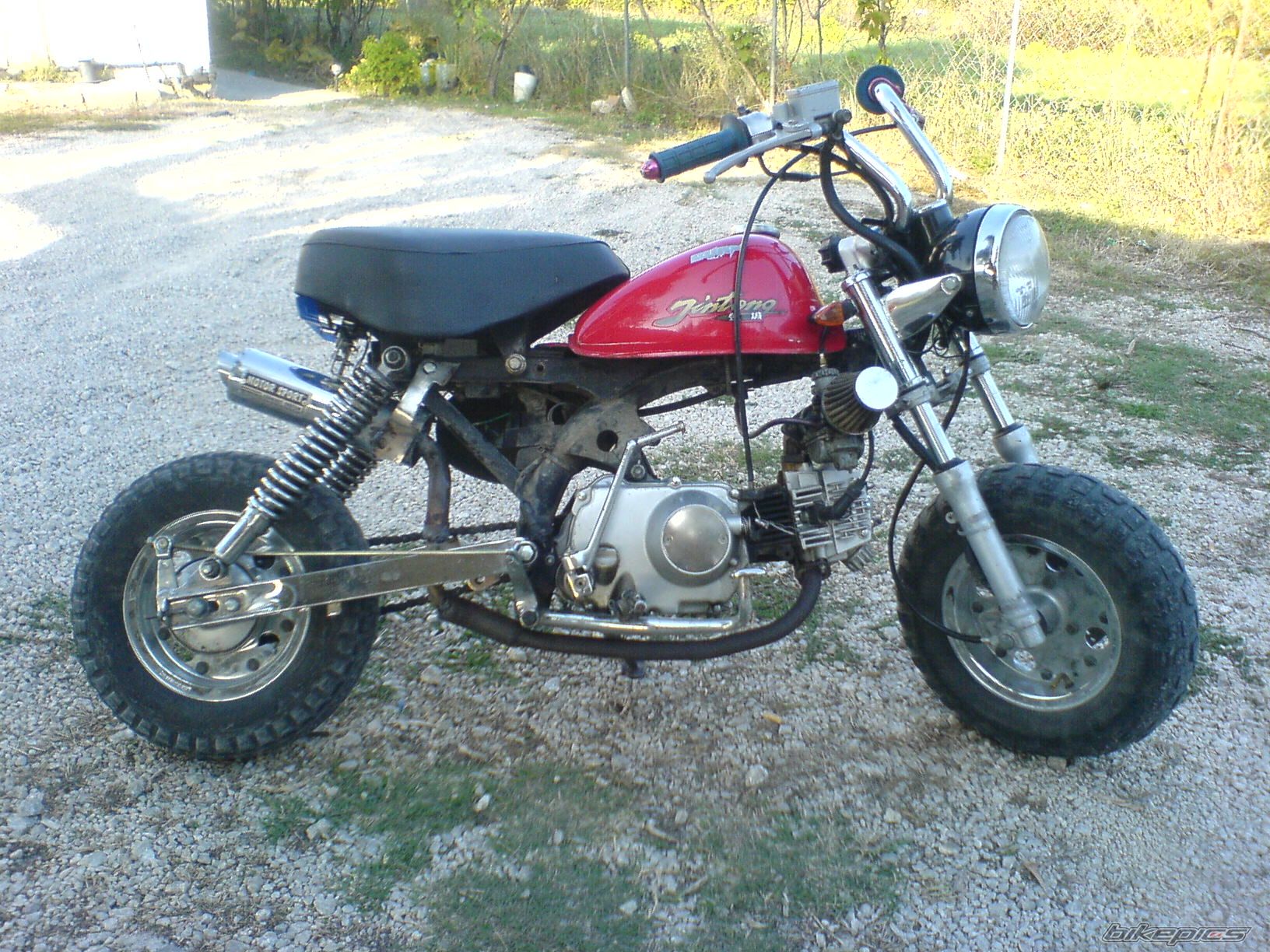 Photo 1123675