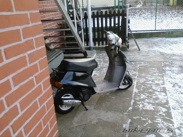 Photo 1124182
