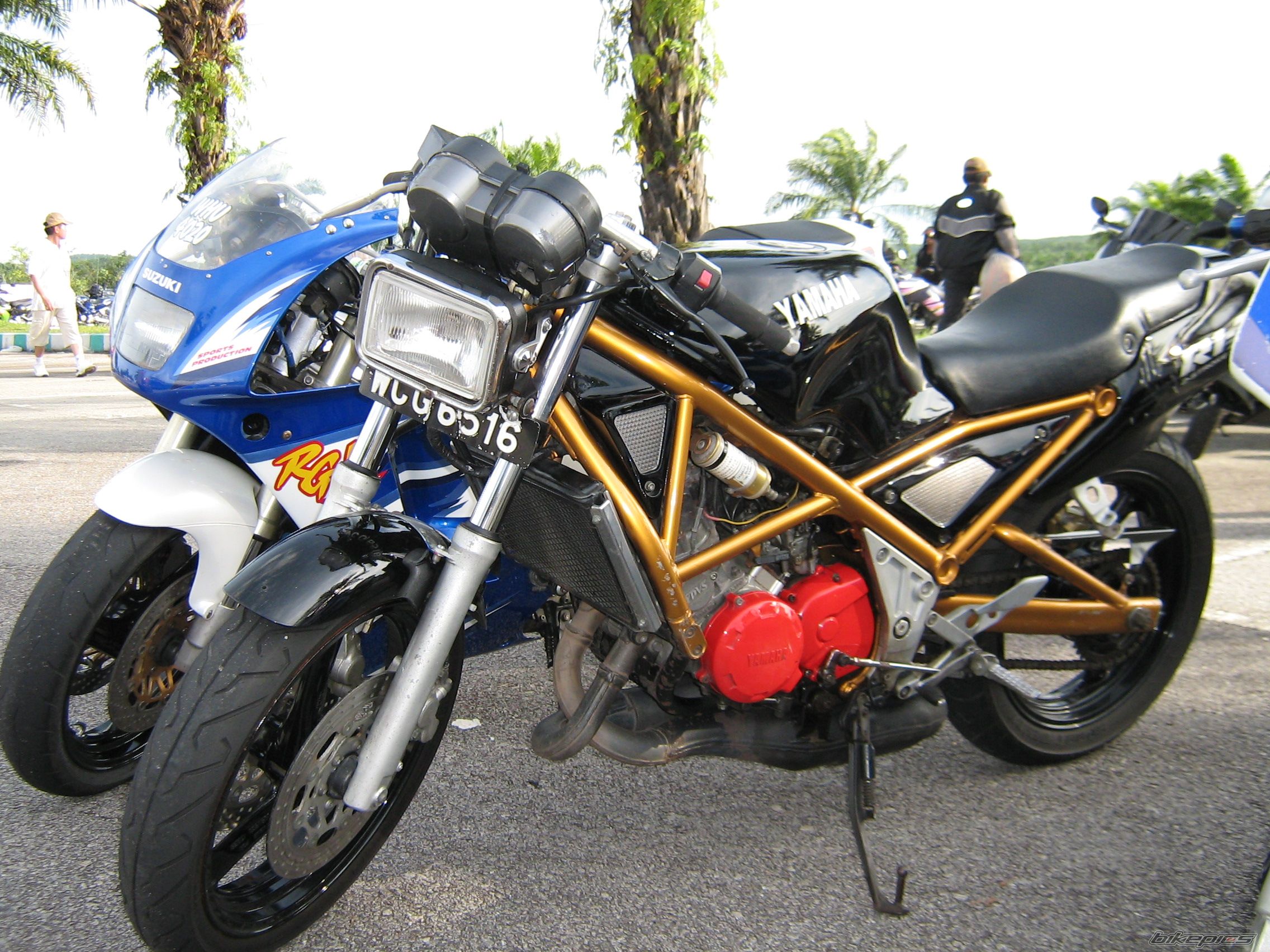 Photo 1127671