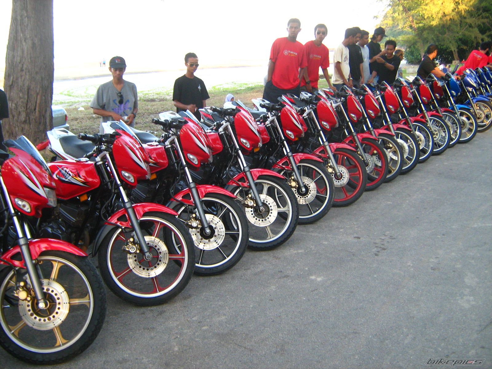 Photo 1128098