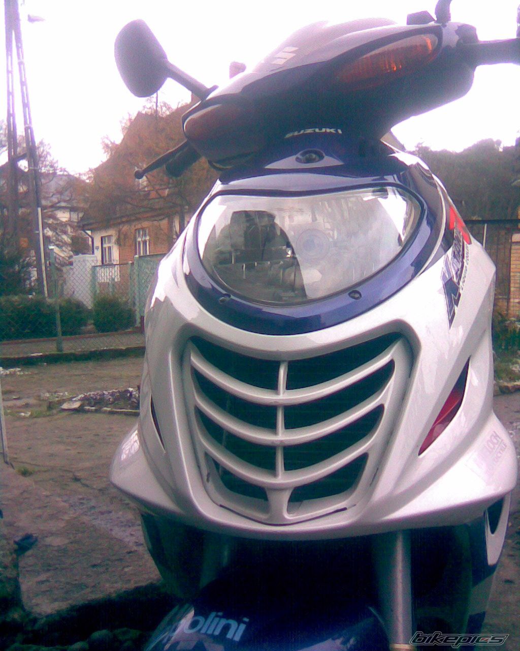 Photo 1134411