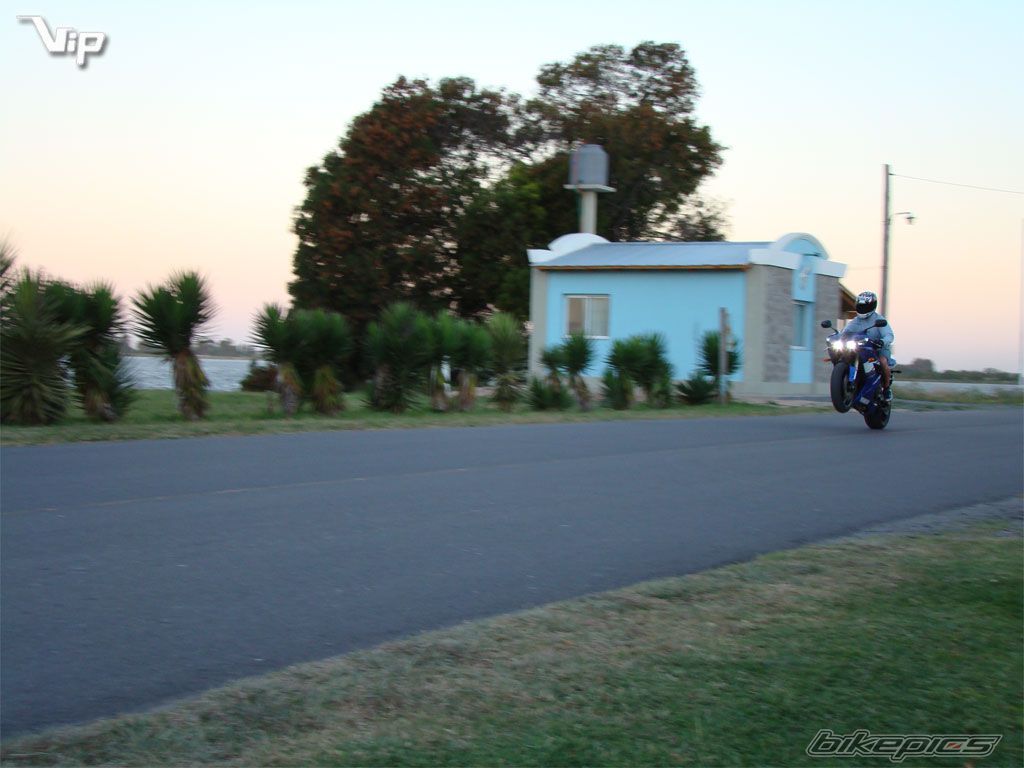 Photo 1135184