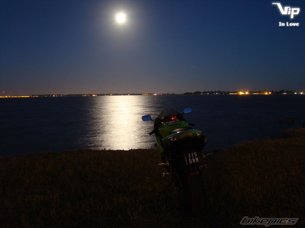 Photo 1135185