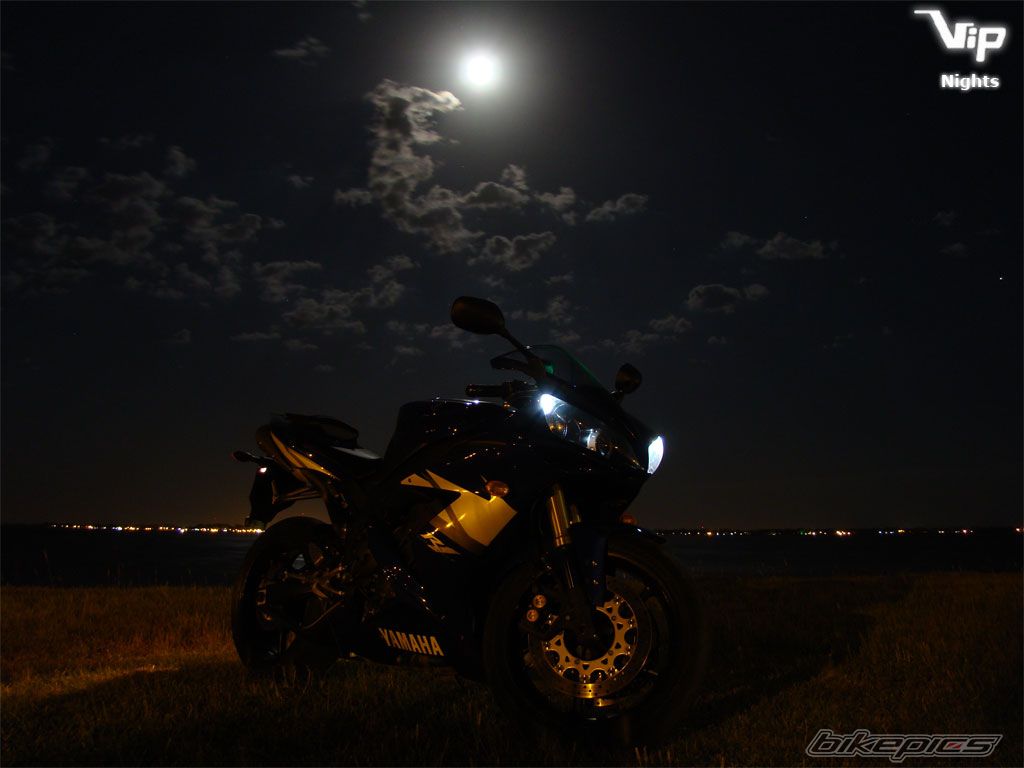 Photo 1135189