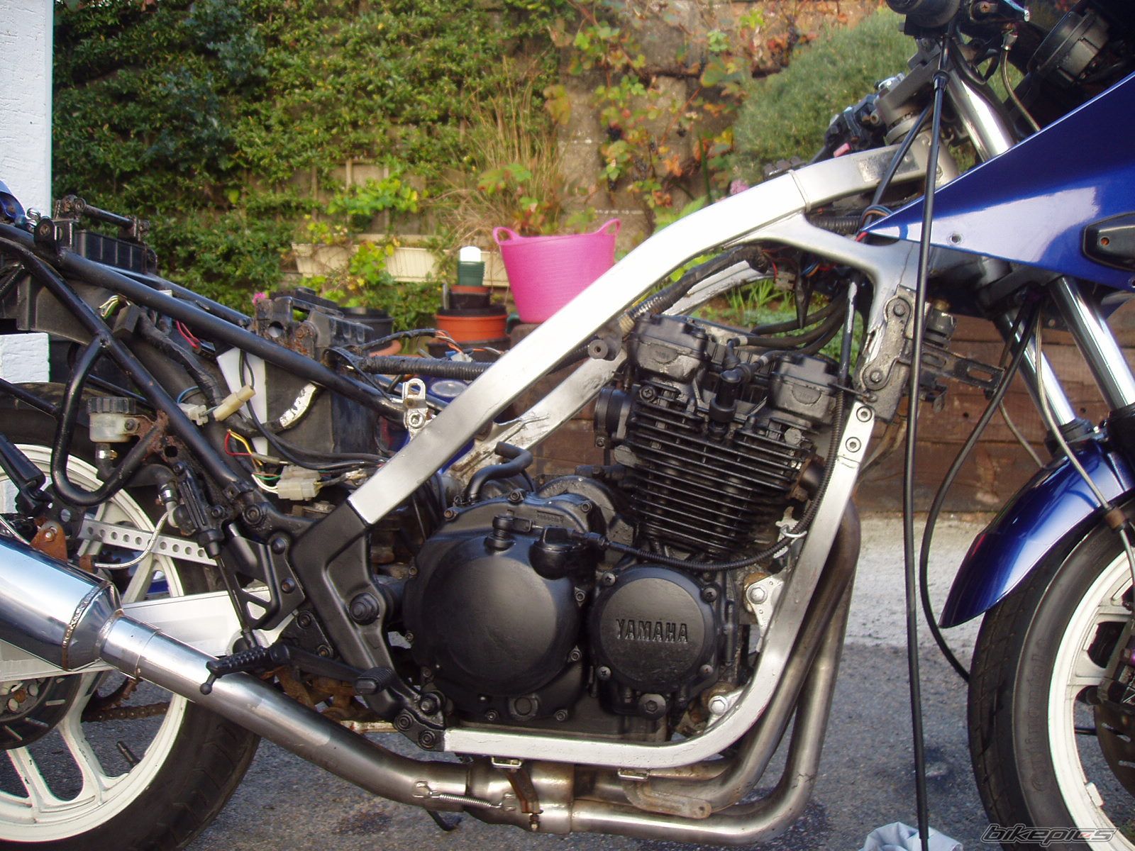 Bike Photo 1137086