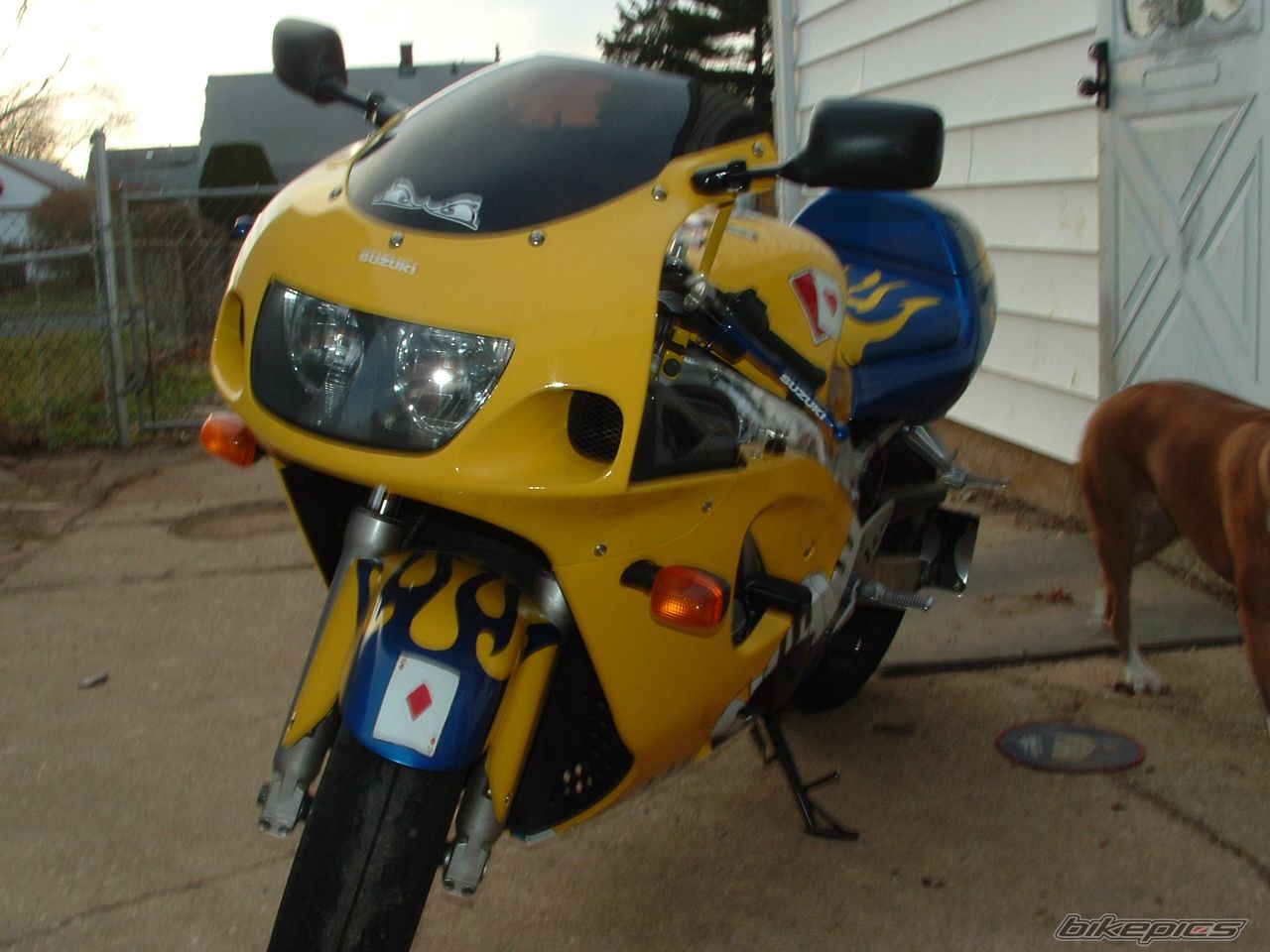Photo 1137141