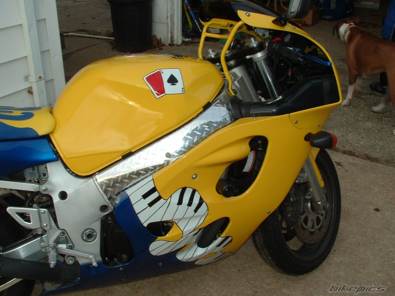 Photo 1137142