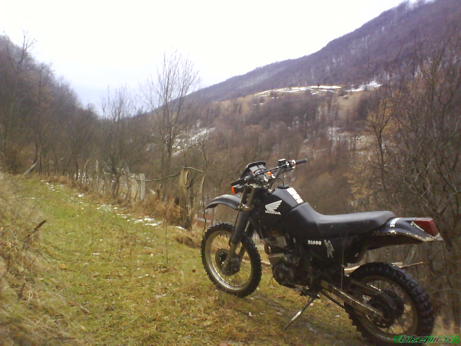 Bike Photo 1138947