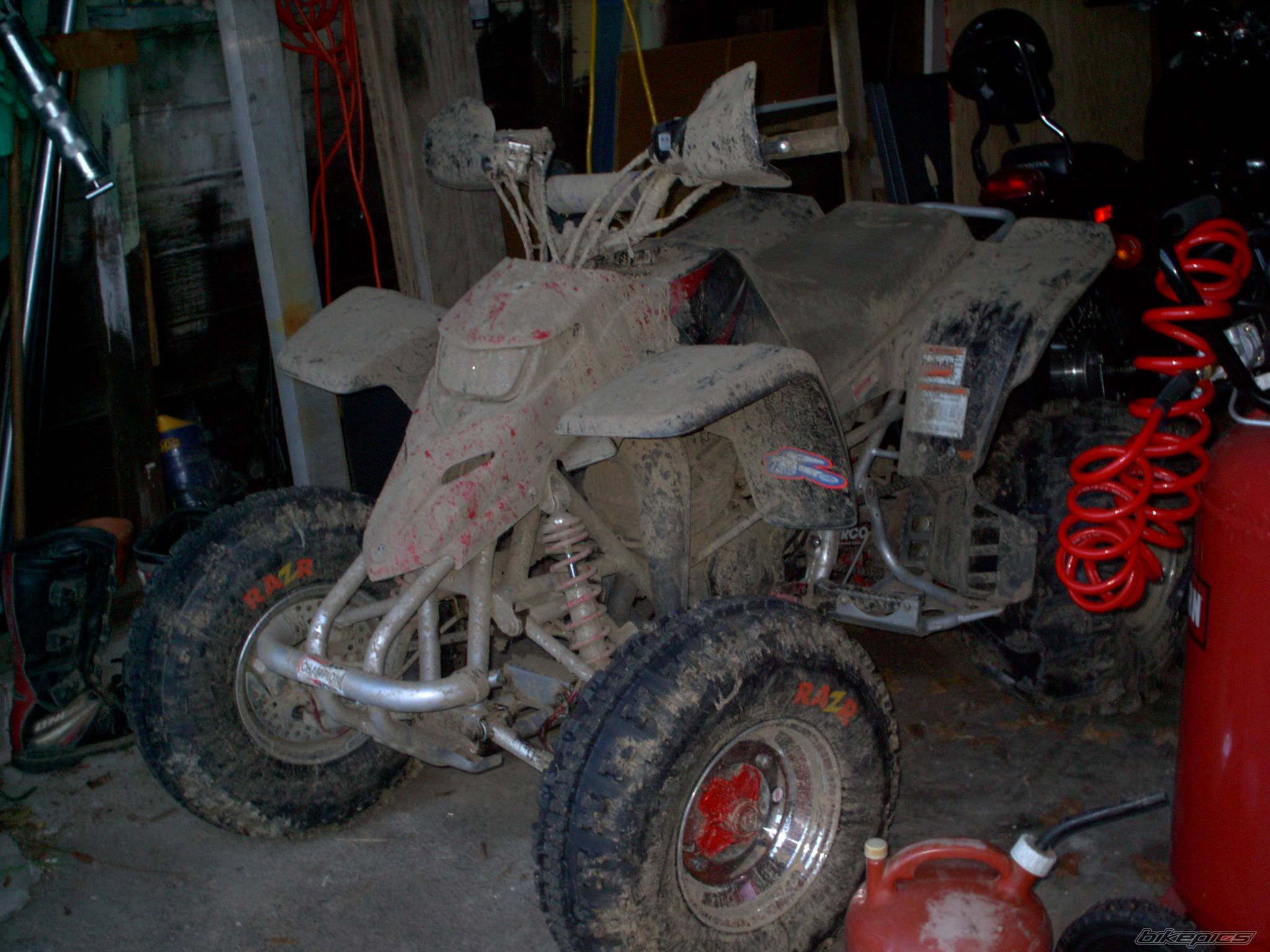 Photo 114105
