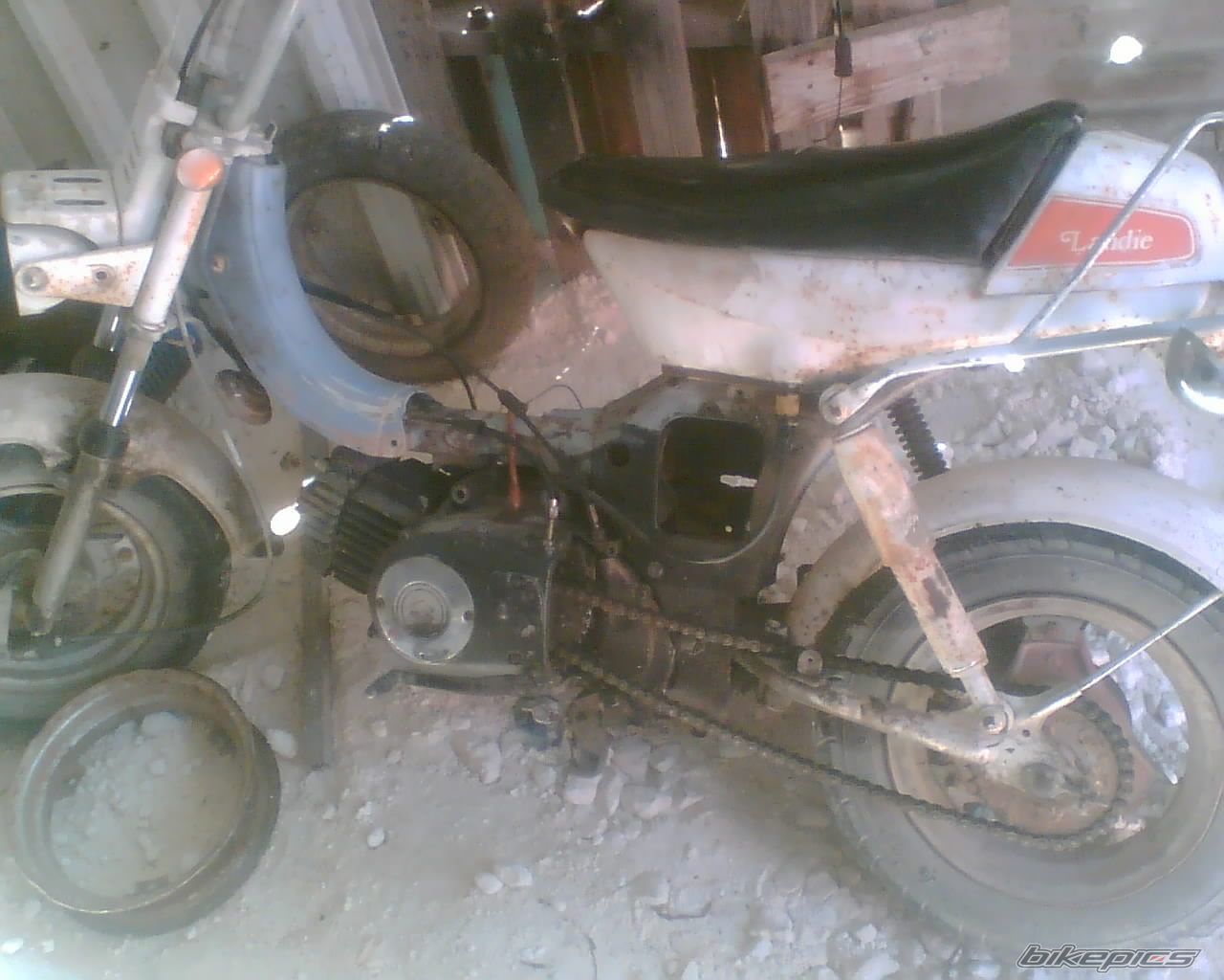 Photo 1141164