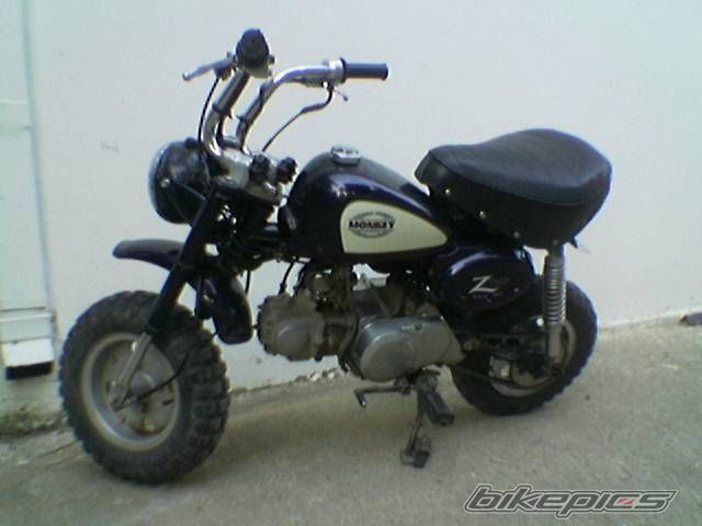 Photo 1141537