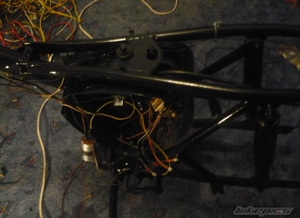 Photo 1146306