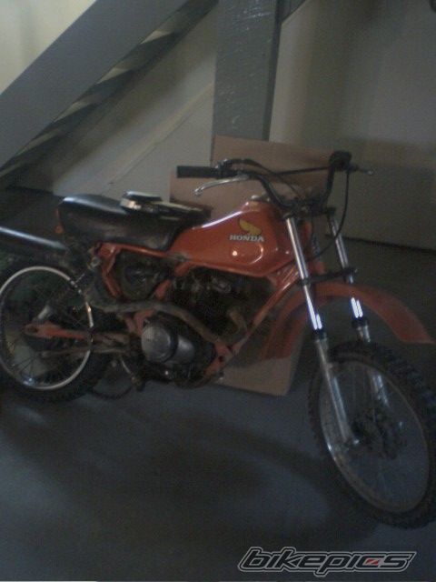 Photo 1146520