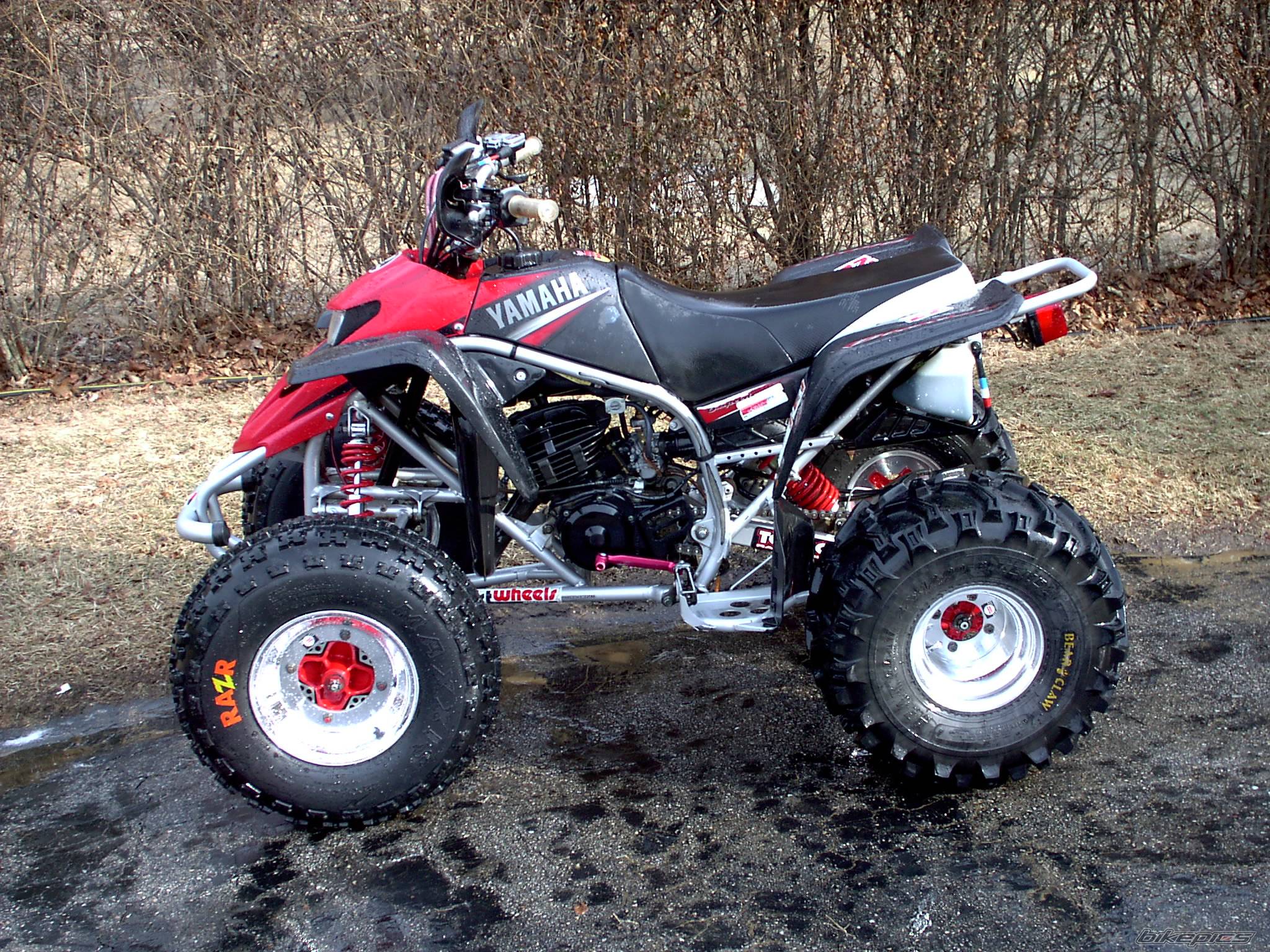 Photo 114664
