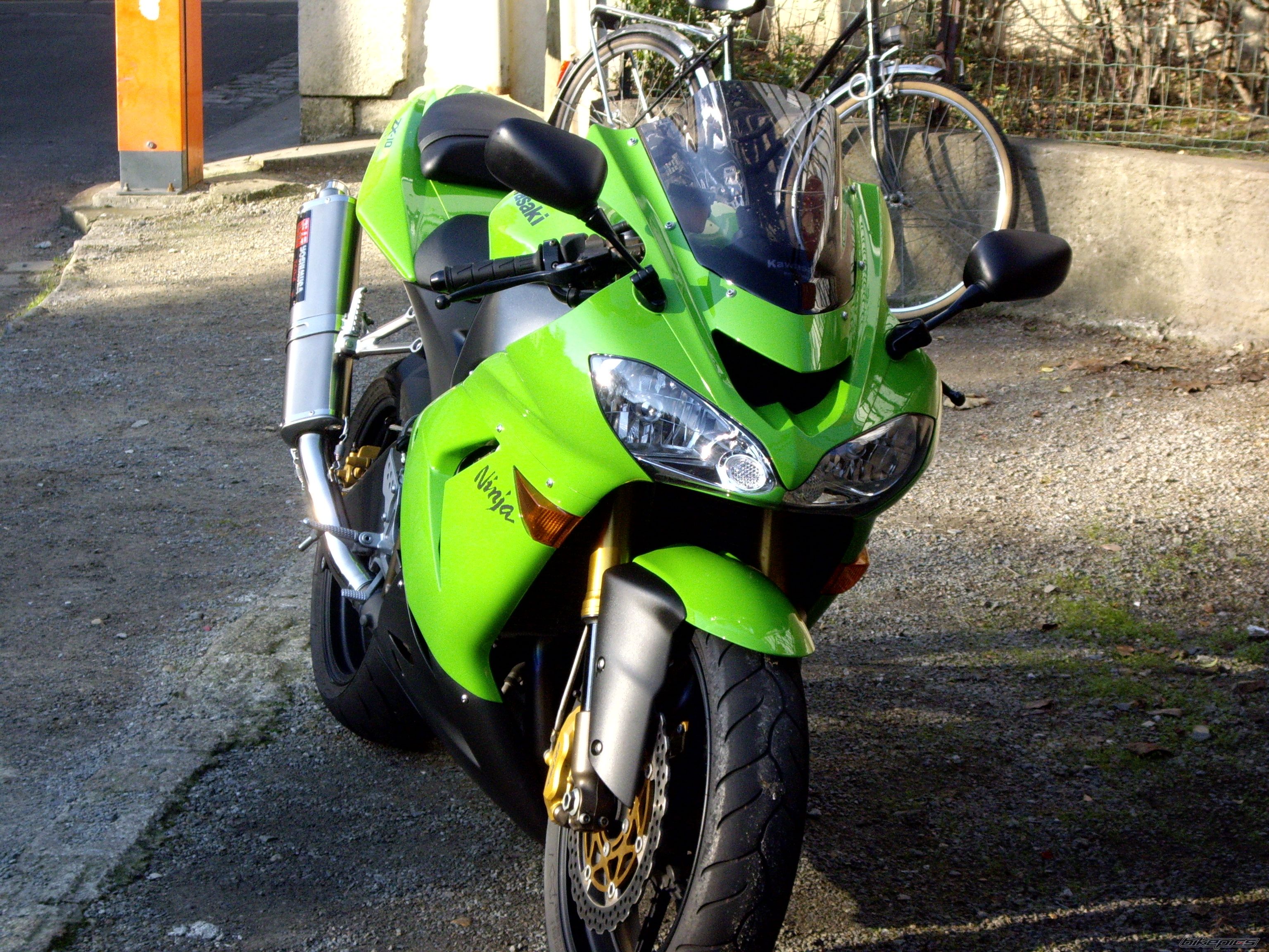 Photo 1146813
