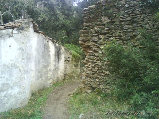 Photo 1147759