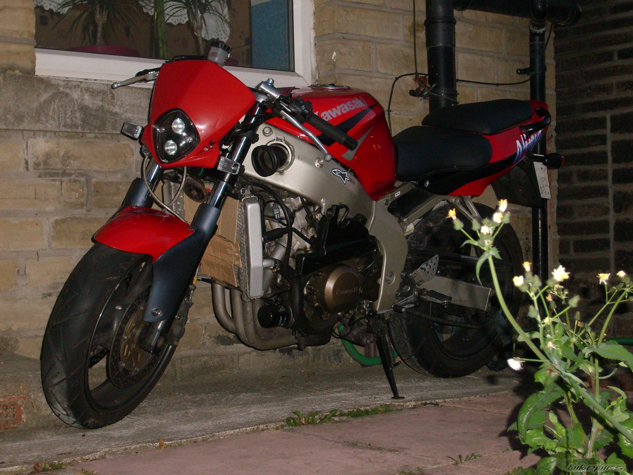 Photo 1153110