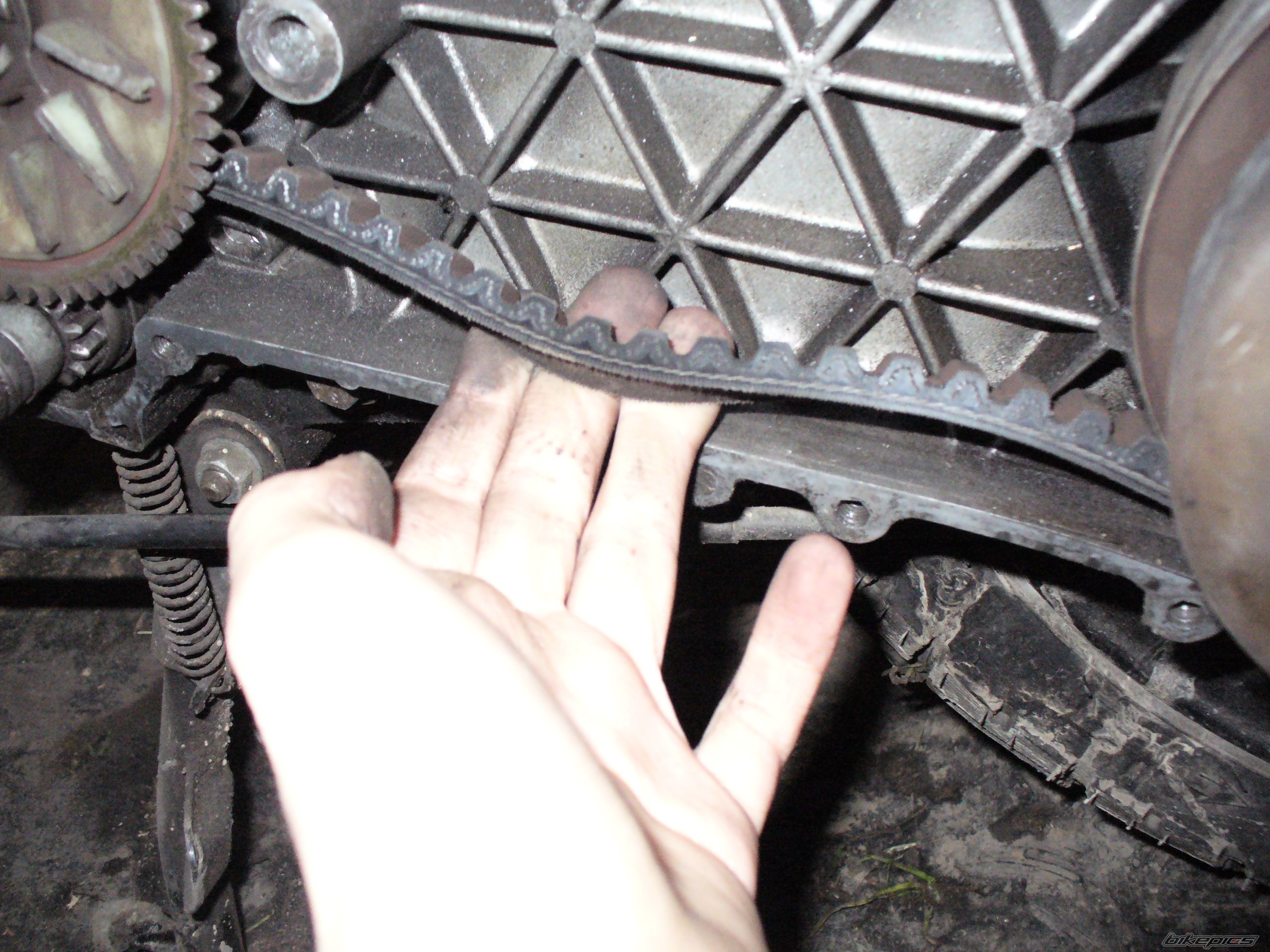 Photo 1154304