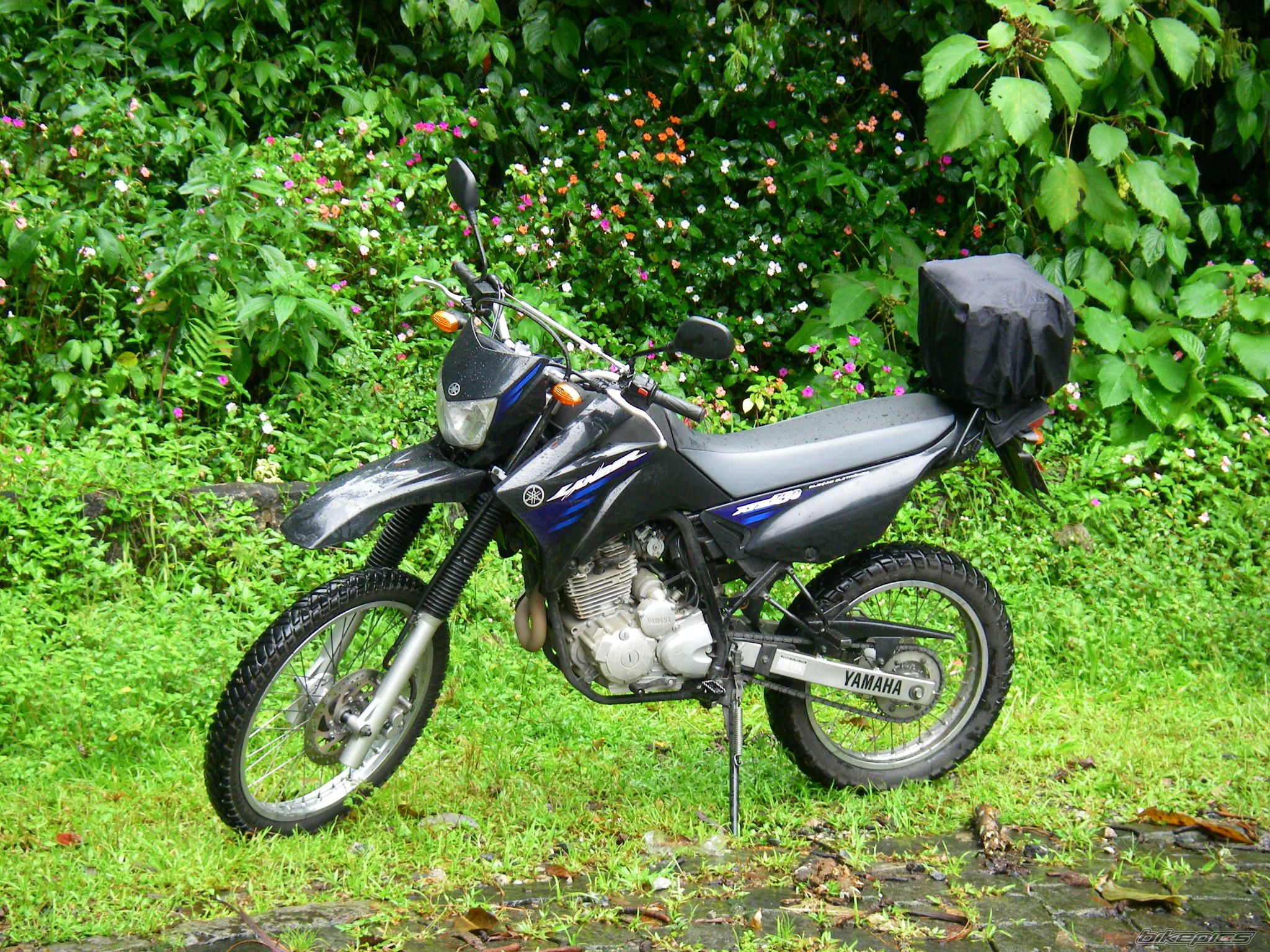 Bike Photo 1159786