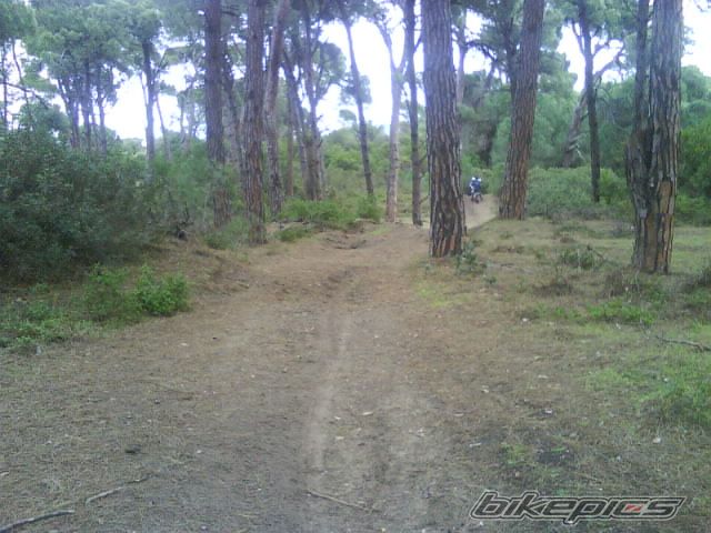 Photo 1162492