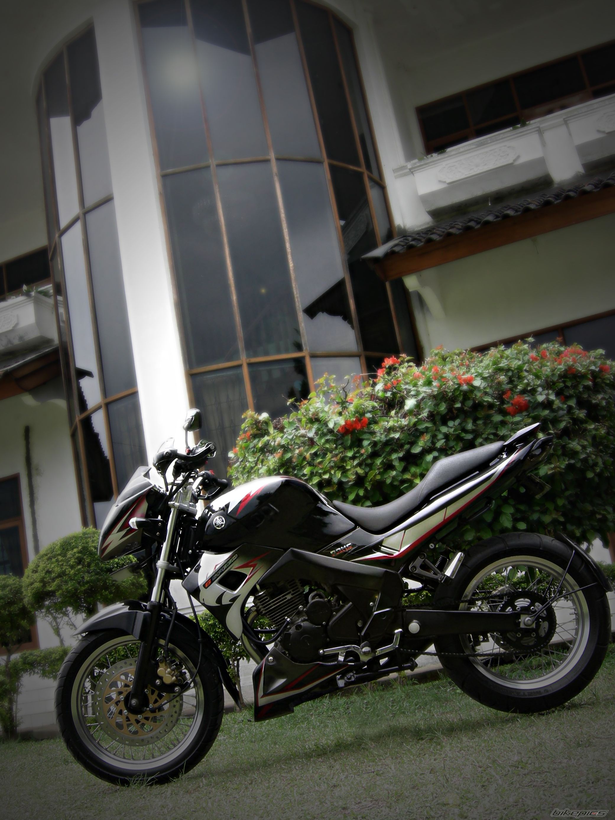 Photo 1166721