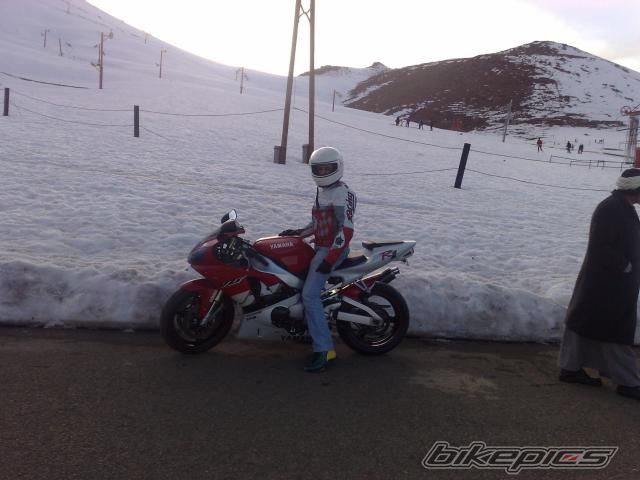 Photo 1167647