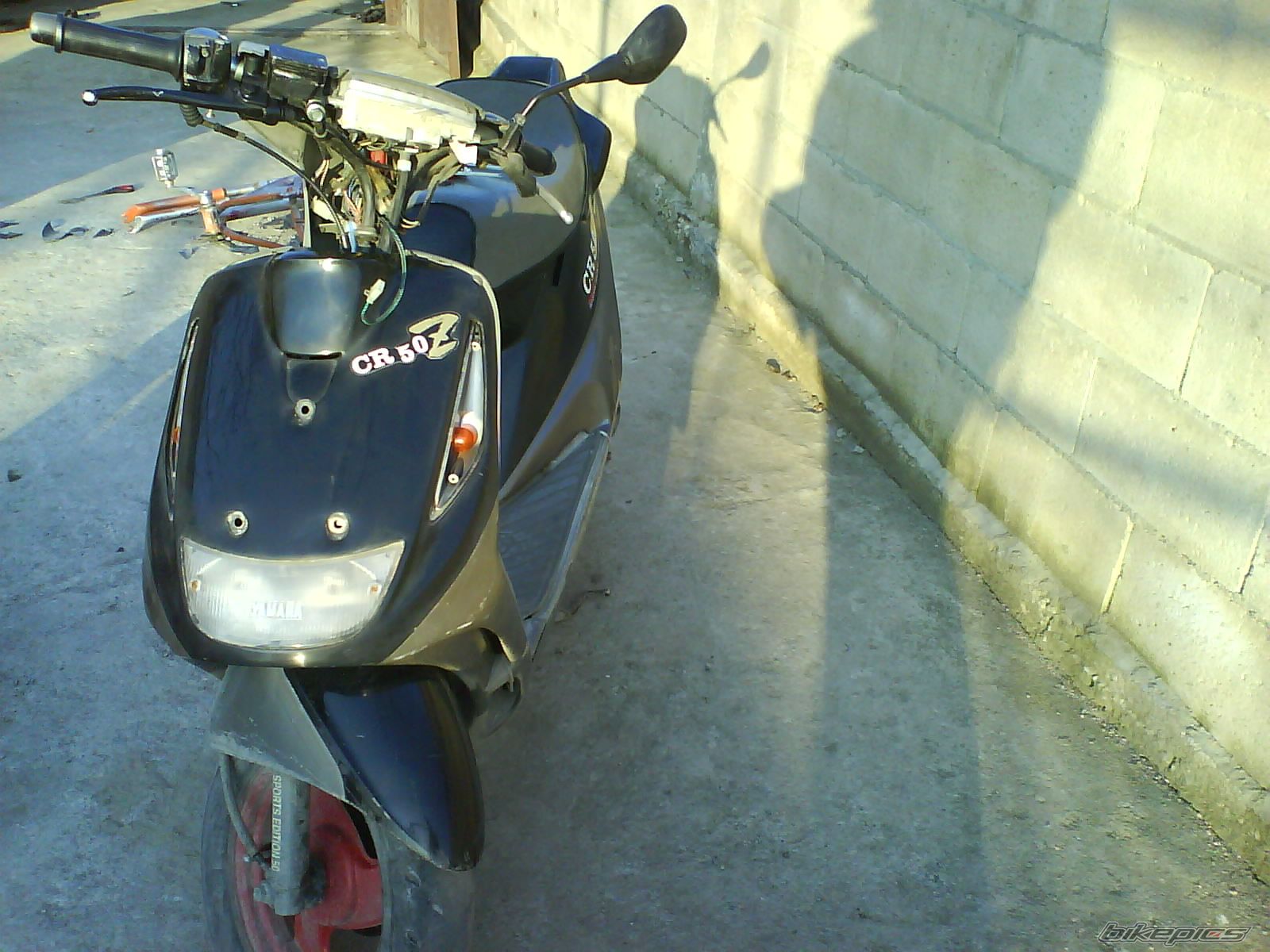 Photo 1170395