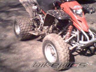 Photo 117345