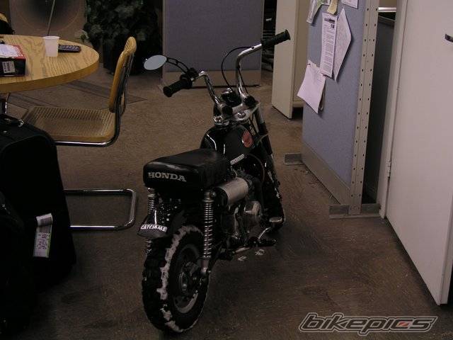 Photo 117351