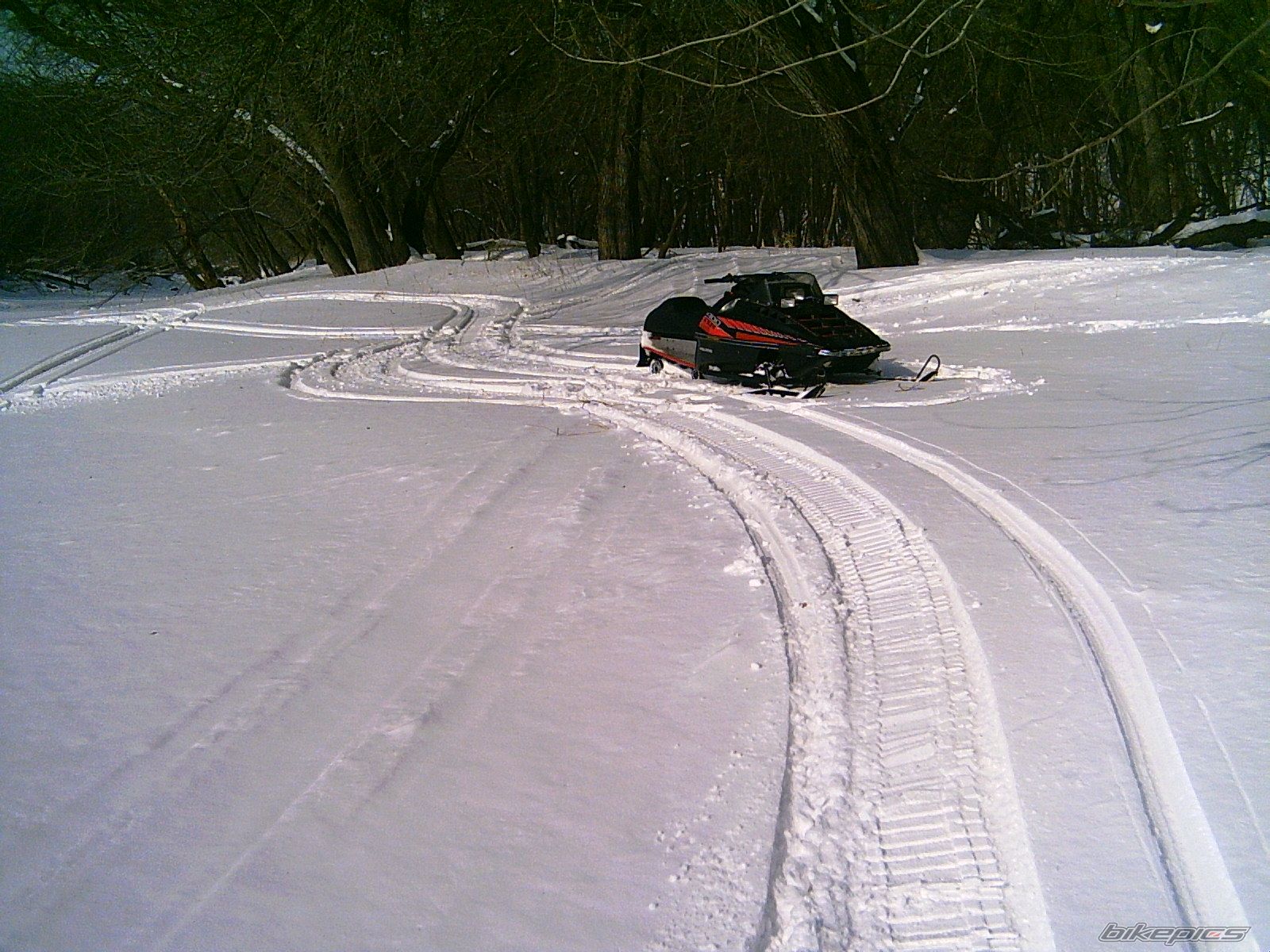 Photo 1174196