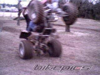 Photo 117479