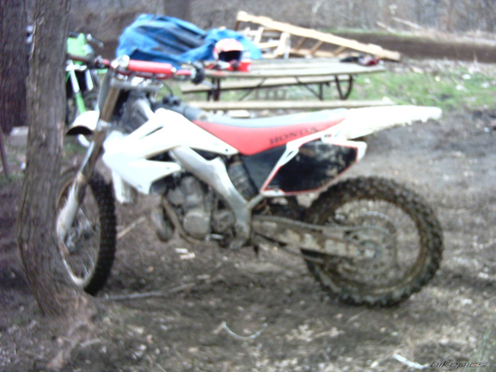 Photo 117525