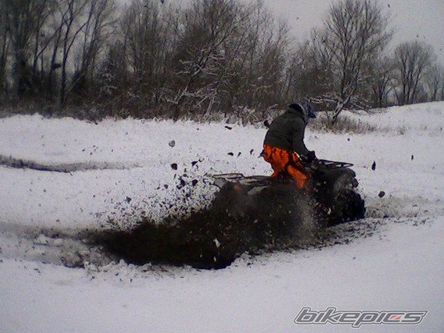 Photo 1177448
