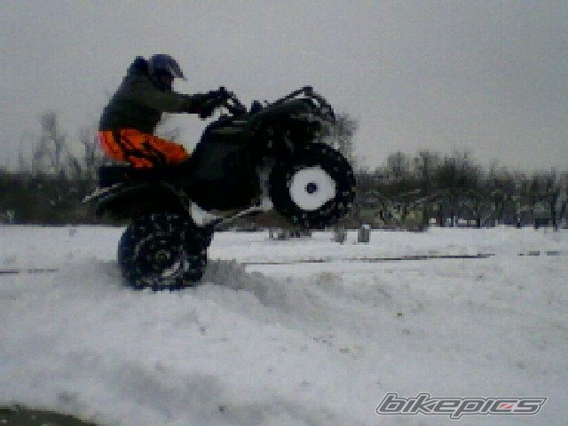 Photo 1177449