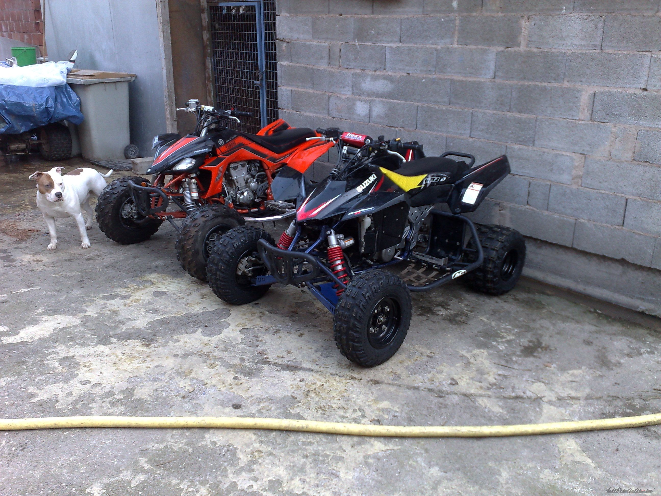 Photo 1180348