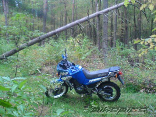 Photo 1180432