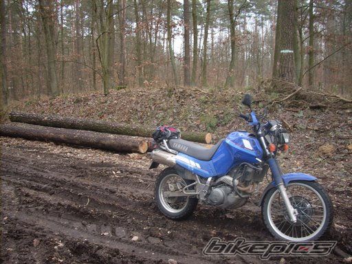 Photo 1180435