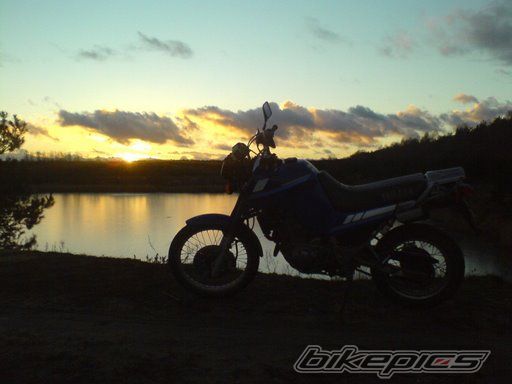 Photo 1180459