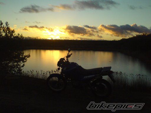 Photo 1180461